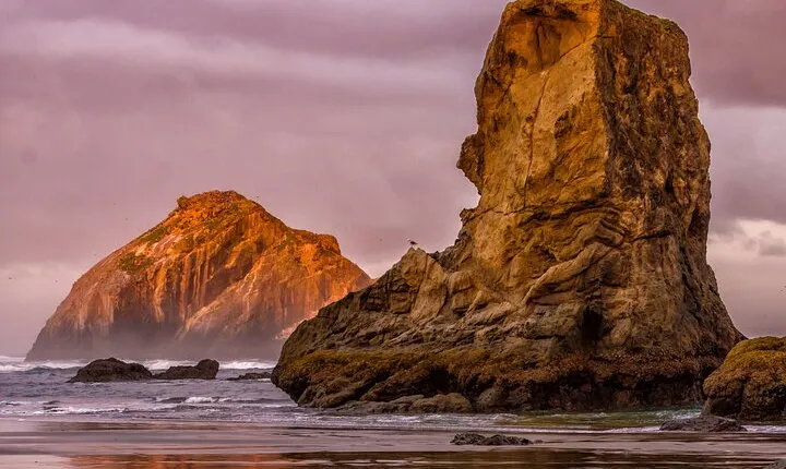 Visit the Oregon Coast from Willamette Valley 