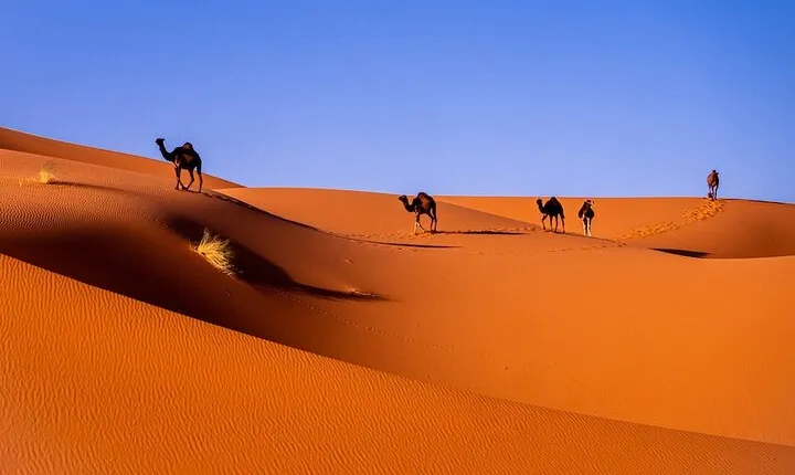 3-Day Shared Tour to Merzouga: Sahara Magic & Camel Trek