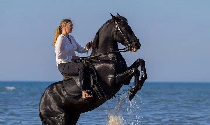 Horse Riding Tour Two Hours Sun & Sea With Transfer - Hurghada