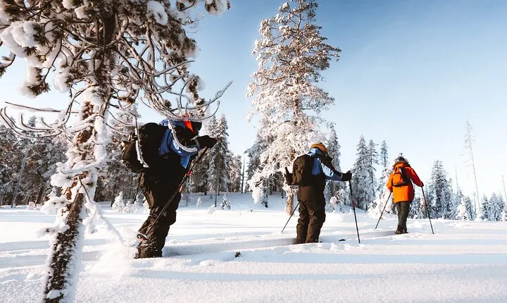 Ski Trekking Safari in Lapland