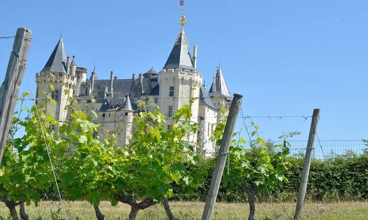 Loire Valley Wine Tour in Chinon & Bourgueil