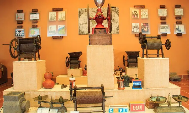 Local Coffee Tasting and Cultural Experience