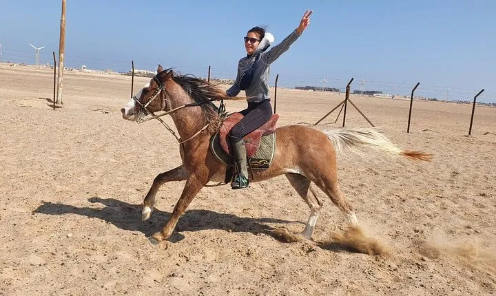 Horse Riding Adventure in Beautiful Desert - Hurghada