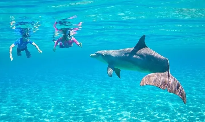 Explore Satayeh Reef on a Marsa Alam snorkeling trip