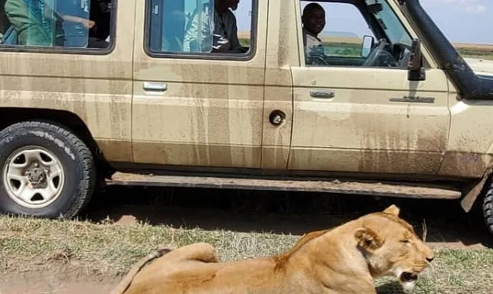 3 Days Selous Nyerere National park safari Boat and Walking