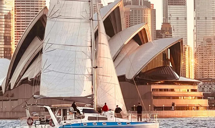 Sydney Whale Watching and Catamaran Sailing Private Half Day Tour