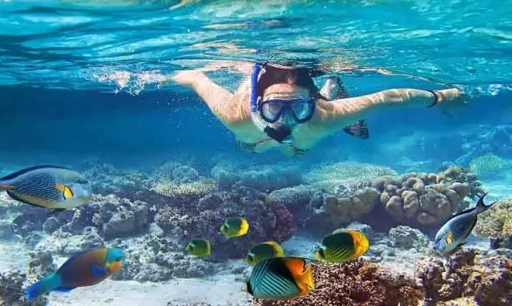Nusa Penida West trip with snorkeling at 3 spot with Free Meals