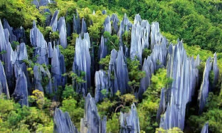 Kunming Private Day Tour to Stone Forest and Chengzi Ancient Town