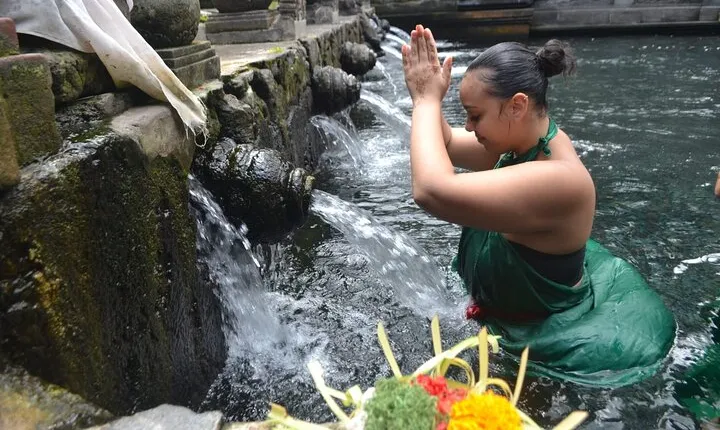Ubud Rice Terrace Swing Waterfall Private Guided Tour