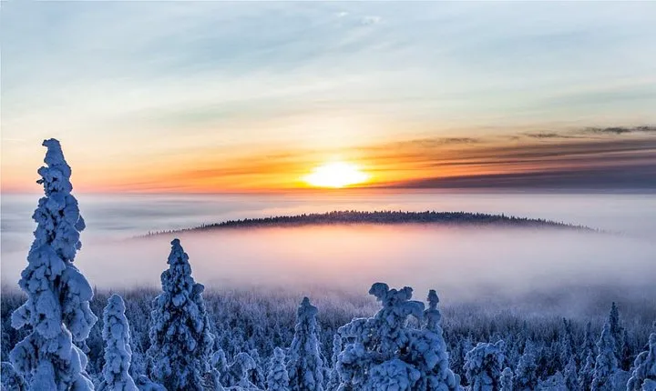 Further to the Wilderness