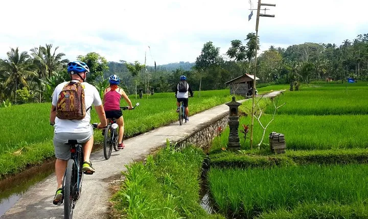 Half-Day Electric Cycling Tour of Ubud