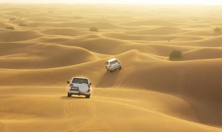 Half-Day Dubai Dunes Desert Safari Experience