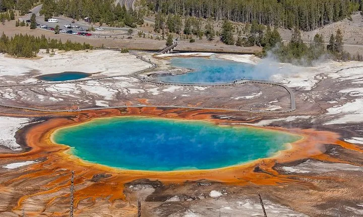 Yellowstone Lower Loop Guided Tour from Cody, Wyoming