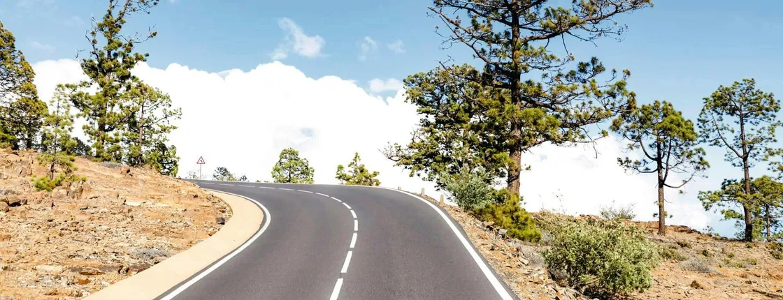Southern Tenerife sightseeing tour with wine-tasting