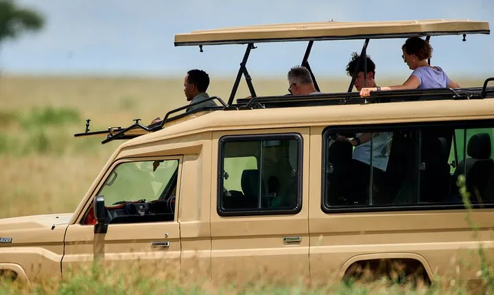 Group Sharing Midrange Safari 