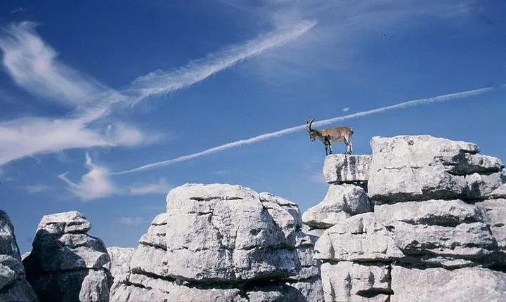 Private Hiking Tour to El Torcal from Malaga