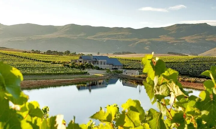Full Day Private Cape Winelands
