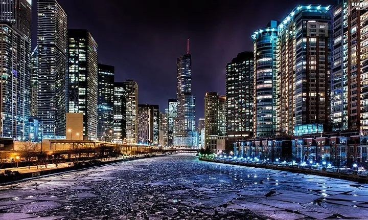 Private Custom City Tour in Chicago