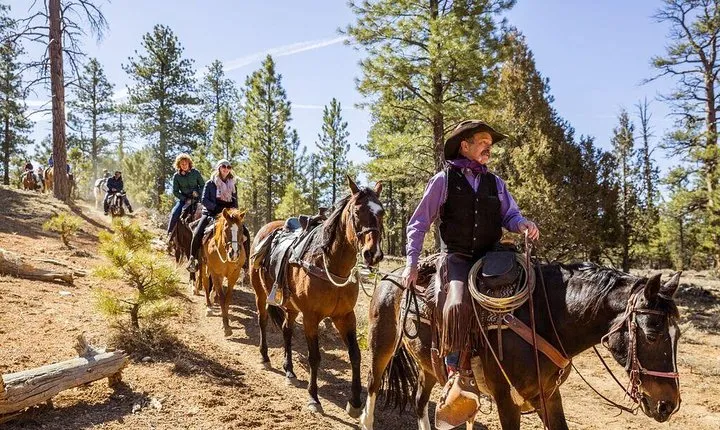 Ruby's Horseback Adventures All Day Ride