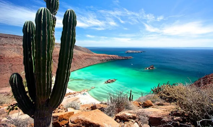 Espiritu Santo Island Full-Day Cruise with Snorkeling and Lunch! Round Trip