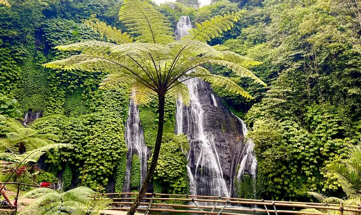Banyuwana & Banyumala Waterfalls Tour (Private & All-Inclusive )
