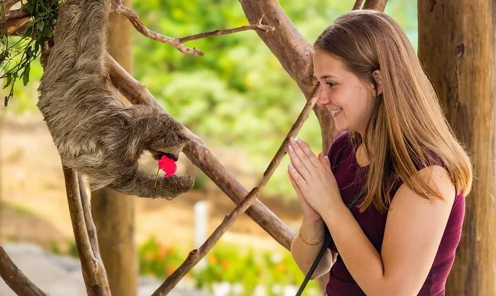 Chocolate Factory,Wildlife Encounter,Sightseeing,Beach in Roatan