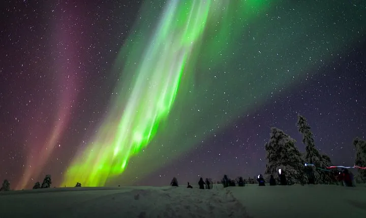 Private Aurora Tour (5 or more) by Aurora Experts - Rovaniemi