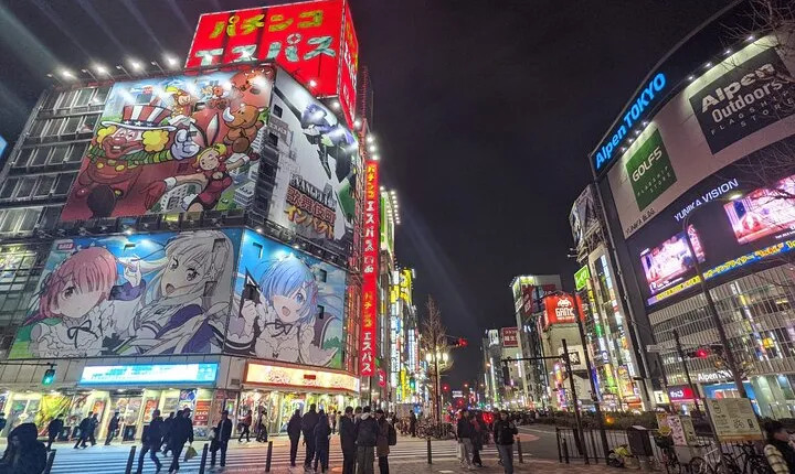 Tokyo Shinjuku Private Night Tour with Fun and subculture study