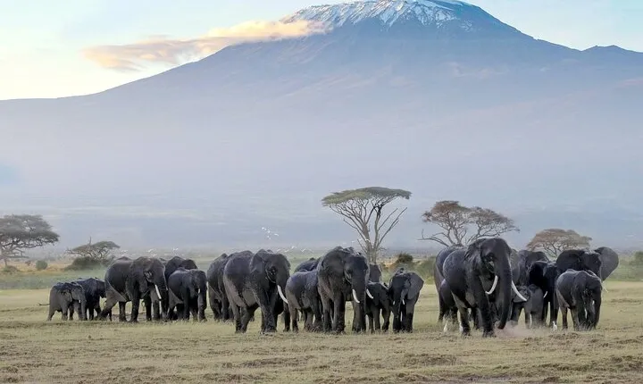7 Days Taste of Kenya Safari Adventure on a 4x4 Land Cruiser Jeep