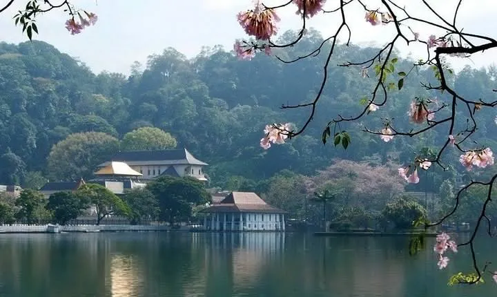 Kandy City Tour Experience from Kandy 