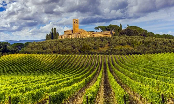 From Florence: Siena and Chianti WineTour with Lunch