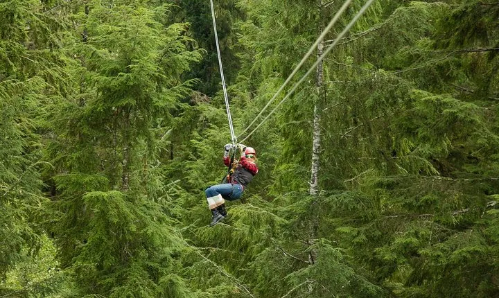 Rainforest Canopy & Zipline Adventure in Ketchikan, AK