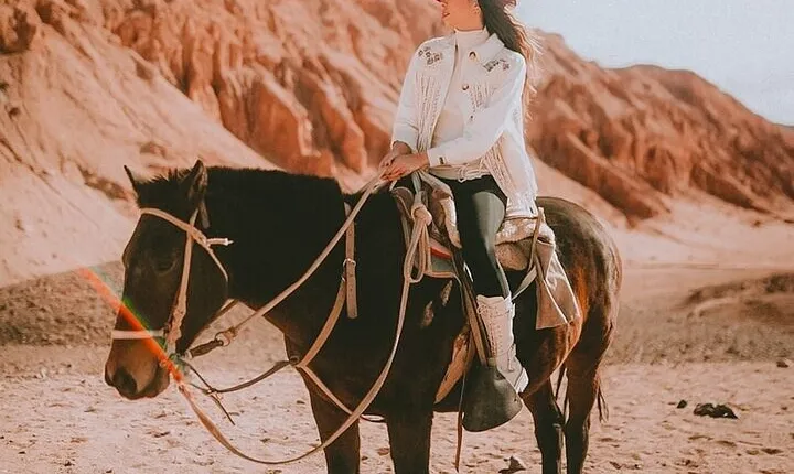 1-Hour Desert Horse Ride Experience – Sharm El Sheikh