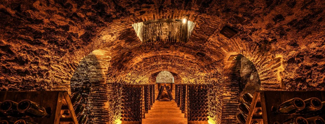 Cellar visit at the Champagne Boizel house and Millésime tasting