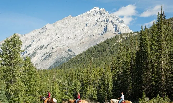 4 Hour Sulphur Mountain Horseback Ride