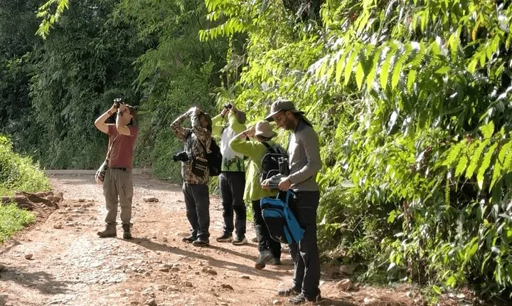 Birdwatching in Guatapé with Around 400 Bird Species