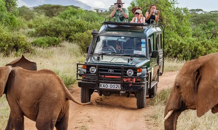 7 Day-Taita Hill, Amboseli , Tsavo West and East Safari - Mombasa