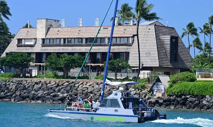 Oahu Catamaran Snorkel Tour: See Turtles 100% Guaranteed 
