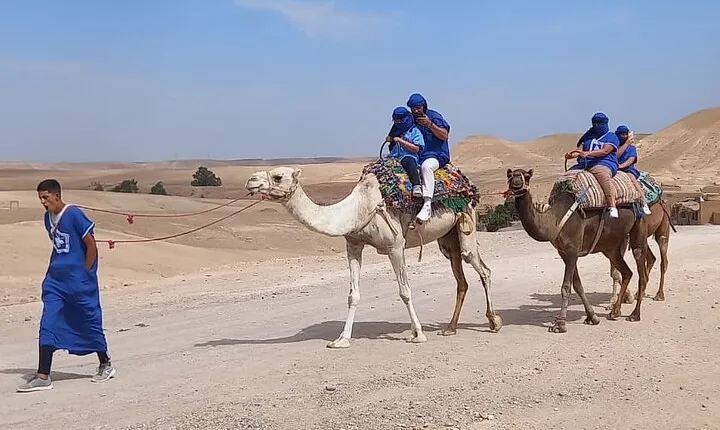 Camel Ride In Agafay Desert From Marrakech With Hotel Pickup and Drop-Off