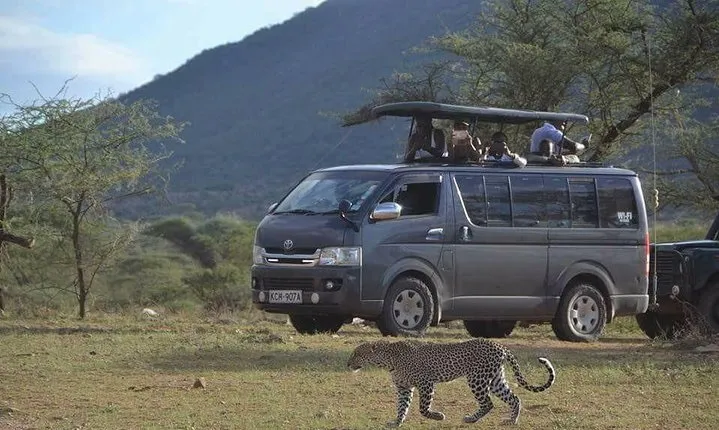 4 Days MaasaiMara-Nakuru Group joining Safari