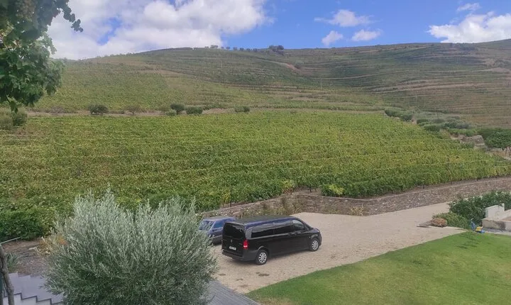 Douro Valley amazing wine Tours