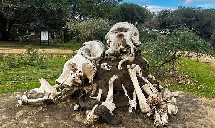 3Day Culture & Wildlife Safari: Tarangire,Ngorongoro & Lake Eyasi