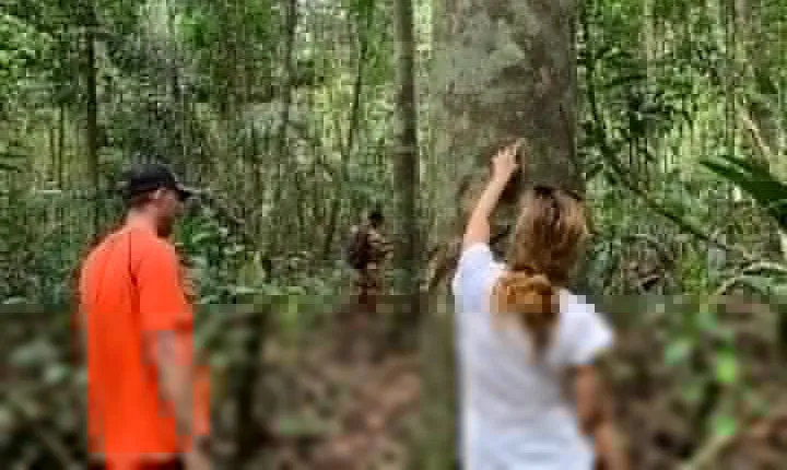 A Whole Day in the Jungle
