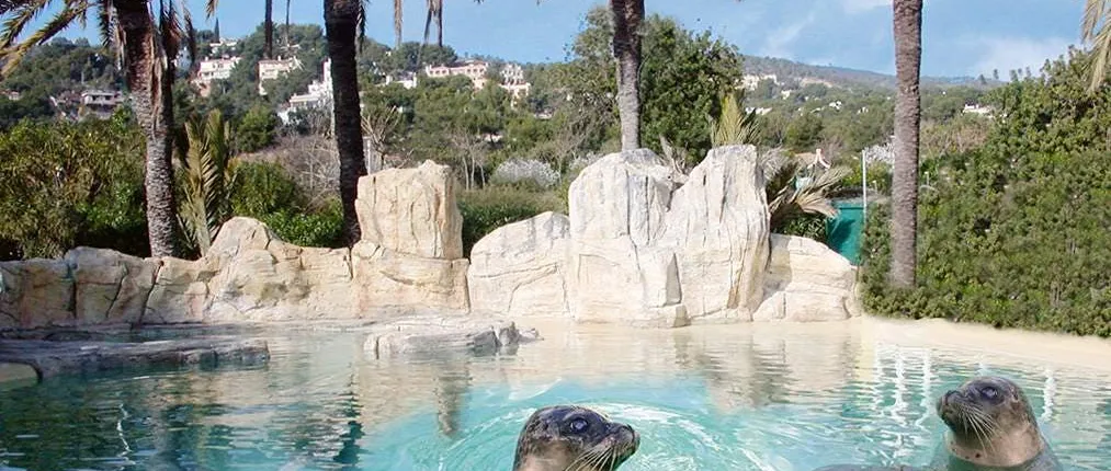 Marineland with Transfer