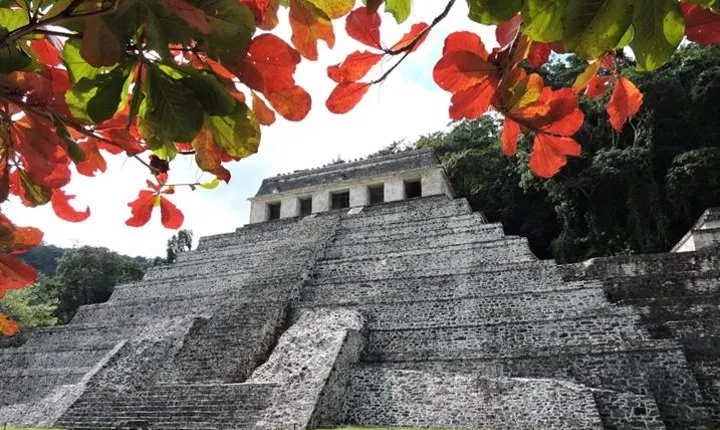 Palenque Archaeological site from Villahermosa City or airport