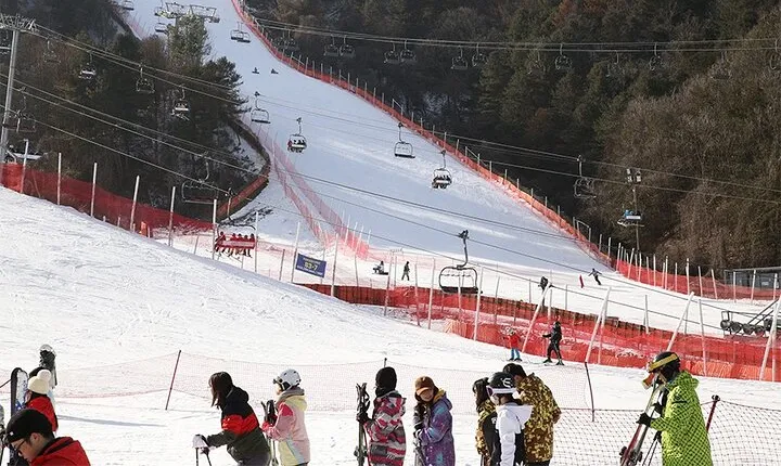Full Day Private Tour Nami Island & Gangchon Elysian Ski