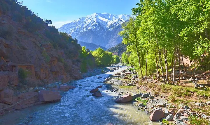Full Day Excursion Tour to Ourika Valley