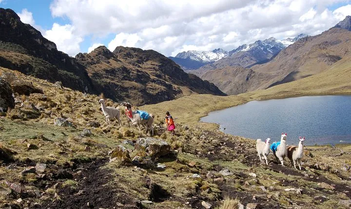 4 Day - Lares Trek to Machu Picchu - Group Service