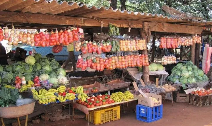 Chinotimba Township Tour (Zimbabwe)