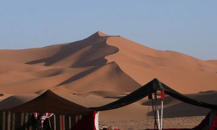 Premium Full-Day Safari, Dune Bash, Camel Ride and BBQ Meal in Desert Camp